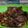 Cooksnap dari Dewi Setyawati untuk resep Sambal Daging Sapi