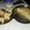 El cooksnap de Nego cuando hizo Bizcochuelo 1-2-3-4.