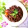 Cooksnap dari Prisca Kukini untuk resep Daging sapi lada hitam resep simple #KitaBerbagi