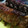 El cooksnap de Cookeate cuando hizo Costillas al horno en salsa barbacoa.
