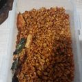 Cooksnap dari Puji Yuniarti Ginting untuk resep Orek Tempe Basah: Pendamping Nasi Uduk