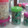 El cooksnap de Naty 78 cuando hizo Pepas o pepitas (galletas).