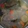Cooksnap dari silvichipy untuk resep Garang Asem Daging #Keto (mudah, segar dan enak)