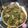 Cooksnap dari deby untuk resep Ayam Cabe Hijau (Menado)