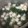 Cooksnap dari Isnawati Purwaningsih untuk resep Sayur Bening Sawi Hijau dan Tahu