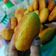 Cooksnap dari tyas kamal untuk resep Donat Labu Kuning