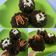 Cooksnap dari Nia Elfionita untuk resep eggless moist chocolate cake