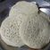 Cooksnap dari Cloud Recesses untuk resep Serabi kuah legit