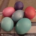 Cooksnap από Irene Pag στη συνταγή Παστέλ αυγά με χρώματα ζαχαροπλαστικής