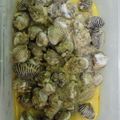 Cooksnap dari Umi Dzar untuk resep Botok kerang dara atau cupar bukur