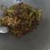 Cooksnap dari Risa Risanti untuk resep Asin cumi cabe hijau