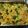 El cooksnap de Nicole Delger Torlucci cuando hizo Vegetales gratinados.