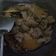 Cooksnap dari Elmise untuk resep Gulai Ayam ala padang