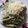 Cooksnap dari Agatha Yang untuk resep Green spaghetti/ spageti hijau