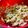 Niha Ch👩‍🍳's cooksnap of when they made Fruit Chaat...🌹.