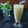 Cooksnap dari Hardhina Sedya untuk resep Orange Yakult