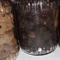 Cooksnap dari Oena ZhandRa untuk resep Kue Kering Rambutan Cokelat