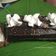 Cooksnap dari PUJIE untuk resep bolu gulung kukus coklat / chocolate swiss roll cake