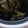Daxita Shah's cooksnap of when they made મેથી બટાકા નું શાક(methi bataka nu Shak recipe in Gujarati).