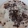 Cooksnap dari Mayadewi Syapriani untuk resep Bubur ketan hitam