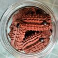 Cooksnap dari Susanti Sigit untuk resep Semprit Coklat NCC #day7