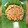 R@shows Cuisine's cooksnap of when they made Signature jollof rice.