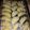 Cooksnap dari وإن إن untuk resep Pastel goreng isi.