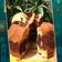 Cooksnap dari Hu Xiuling untuk resep Marble cake Law Thomas