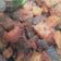 Cooksnap dari Diah85 untuk resep Sambel goreng ati kentang