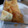 El cooksnap de Dany Godoy cuando hizo Torta Fritas.