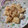 El cooksnap de isabel cuando hizo Bacalao encebollado.