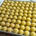 Cooksnap dari Wulan Swike untuk resep Nastar klasik ny liem