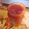 El cooksnap de Ani cuando hizo Ketchup casera.