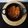  Dr Vidyashree's cooksnap of when they made Spicy Chicken Vindaloo.