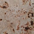 Saira Abdullah's cooksnap of when they made Chapati.