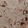 Saira Abdullah's cooksnap of when they made Chapati.
