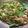 รูป Cooksnap ของ Pa Pa Pinn เมื่อเขาทำ “ผัดพริกแกงหมูใส่ถั่ว”