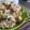 Cooksnap dari Lolita Anastasia Vega untuk resep Chicken sweet butter corn