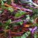 Cooksnap dari lth untuk resep Fresh salad #pekaninspirasi