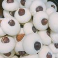 صورة من fifi.fahim، شاركها بعد تجربة وصفة الغريبه الناعمه جدا