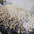 El cooksnap de Natalia Diaz cuando hizo Ñoquis de papa 🍝🍠súper ricos!.