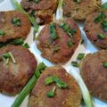 Khalida Misbah's cooksnap of when they made شامی کباب.