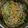 劉心誼 的 鮪魚拌豆芽(快速料理) cooksnap