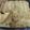 El cooksnap de Johanna Estela Gutierrez cuando hizo Canelones de carne al horno con bechamel casera.