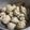 Cooksnap dari Kumala71 untuk resep Bakso Ayam Lohoa (sarang burung)