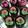 Cooksnap dari Andhien~Rhea's Kitchen untuk resep SIMPLE CUPCAKE