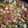 El cooksnap de Geydi Minerva Jun Chi cuando hizo Fajitas de pollo a la Mexicana.