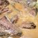 Cooksnap dari Ibrahim Waly untuk resep Gulai ikan tongkol