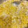 Cooksnap dari atika fauziah untuk resep JASUKE - Jagung Susu Keju