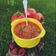 Cooksnap Monika Lemko z czasów, kiedy przygotował 🍎🍅🌶🥩🍝 Tydzień czerwony - dodaj Cooksnap czerwonego dania!.